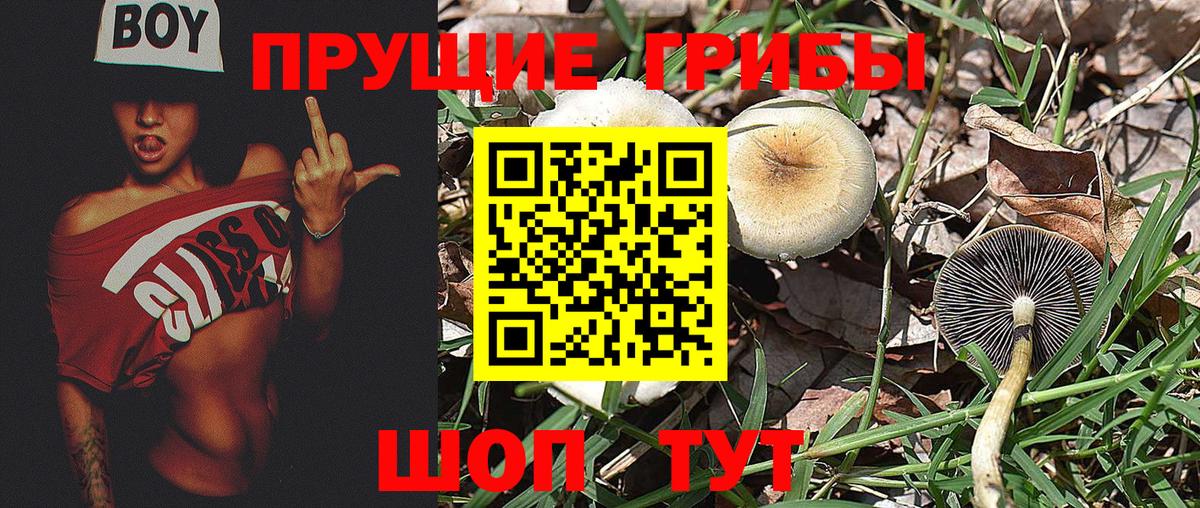 Галлюциногенные грибы ЛСД Красноярск