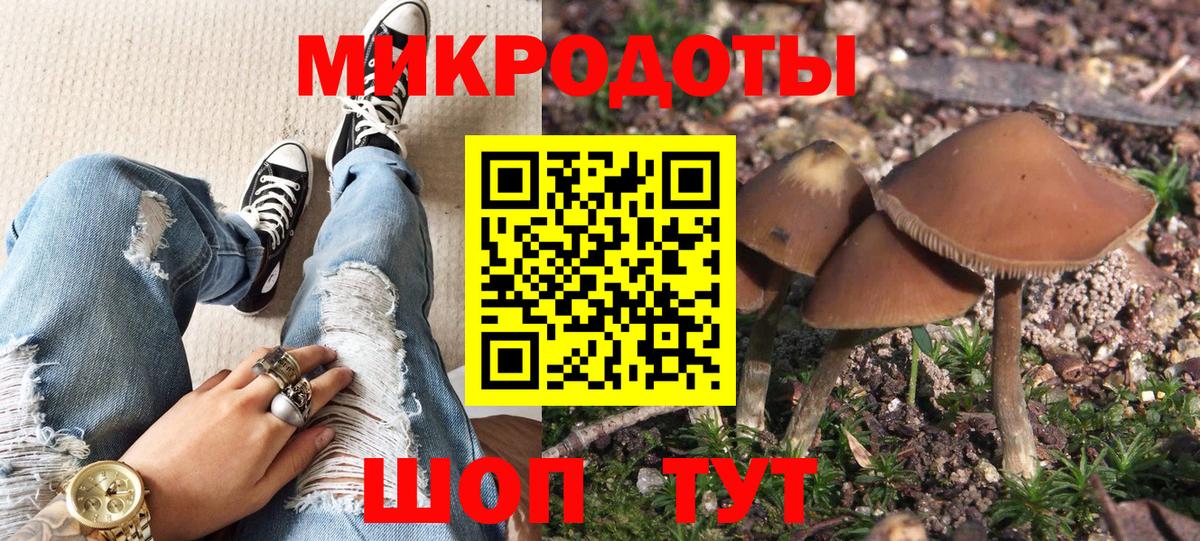 Галлюциногенные грибы Psilocybine cubensis  Вход с VPN  Красноярск 